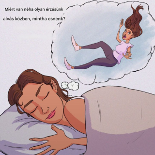 Miért érezzük úgy, hogy elalszunk, amikor elalszunk?