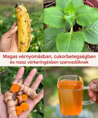 60 évesen megszabadultam a magas vérnyomástól, a cukorbetegségtől és a rossz keringéstől ennek az erős italnak a fogyasztásával.